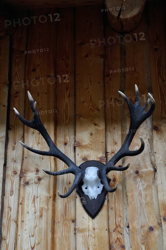 Deer antlers and chamois horn in Valloire