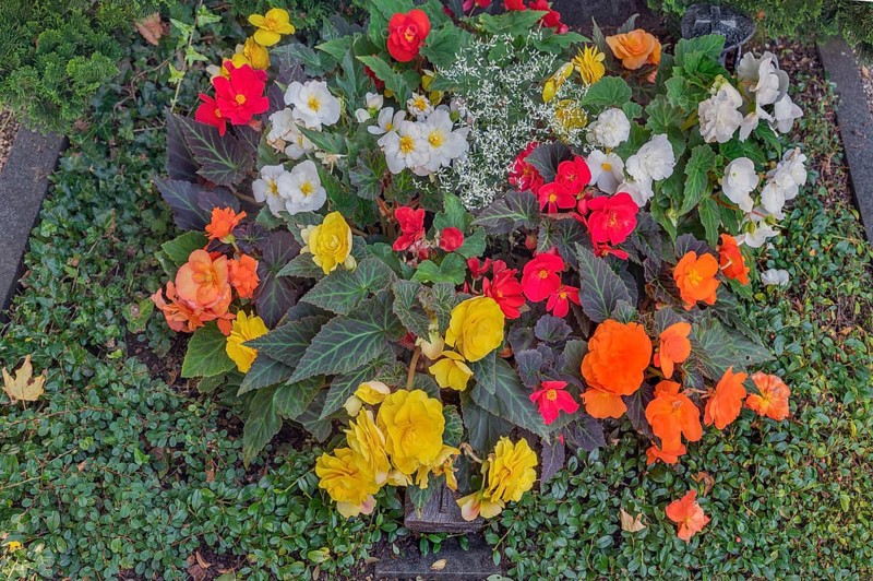 Gravesite with lavish floral decoration, catholic cemetery, Kempten, Allgäu, Bavaria, Germany