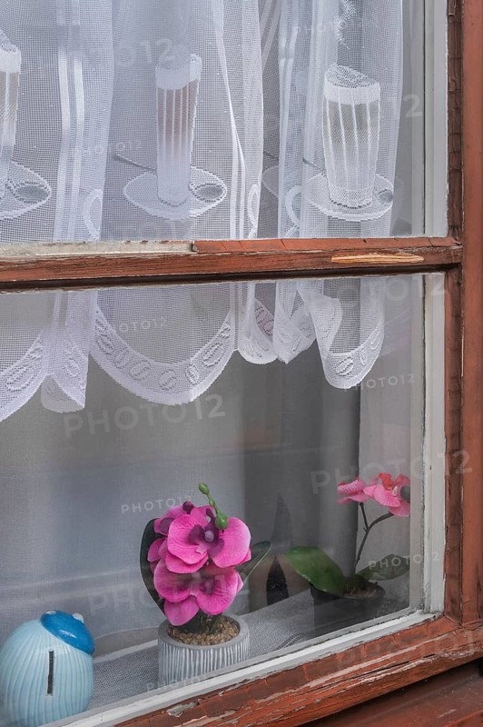 Window with blind, white, curtain with orchids at the Allgäuhalle, Kempten, Allgäu, Bavaria, Germany