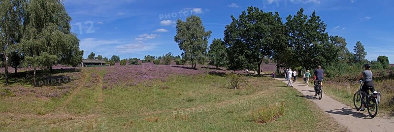 Panorama shot, Photomerge, apiary, tourists, cyclists, heather blossom at Wilseder Berg, Lüneburg Heath near Wilsede, Bispingen, Lower Saxony, Germany