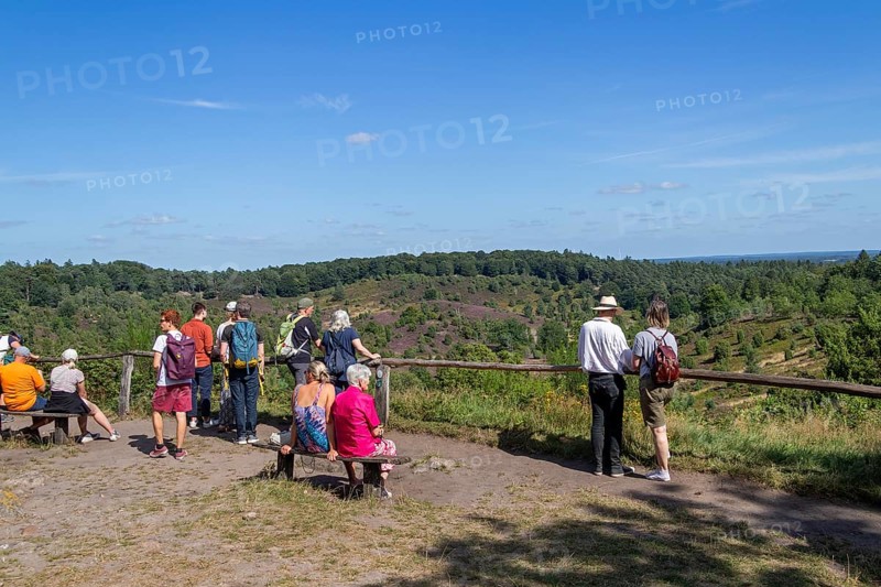 Viewpoint, Totengrund, tourists, Lüneburg Heath near Wilsede, Bispingen, Lower Saxony, Germany