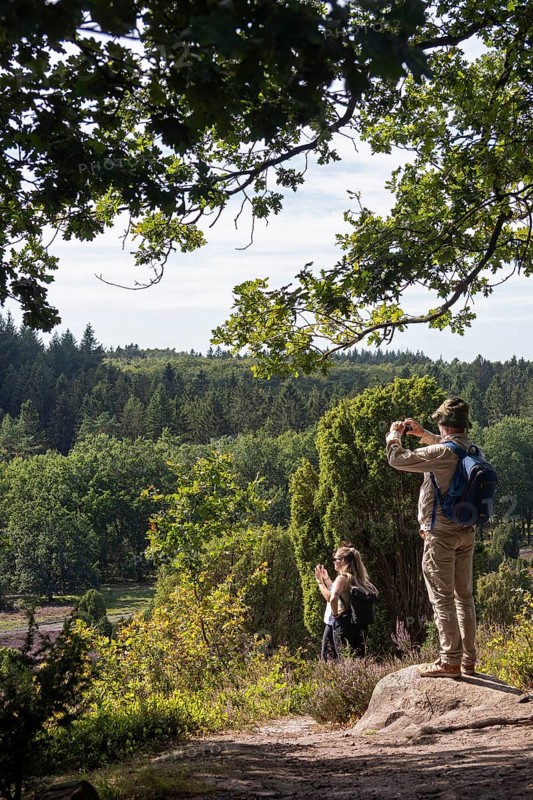 Viewpoint near the Totengrund, tourists taking photos, Lüneburg Heath near Wilsede, Bispingen, Lower Saxony, Germany
