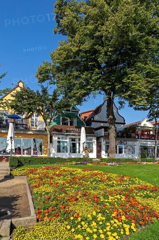 Houses on the Alter Strom, flowers, trees, Warnemünde, Rostock, Mecklenburg-Vorpommern, Germany