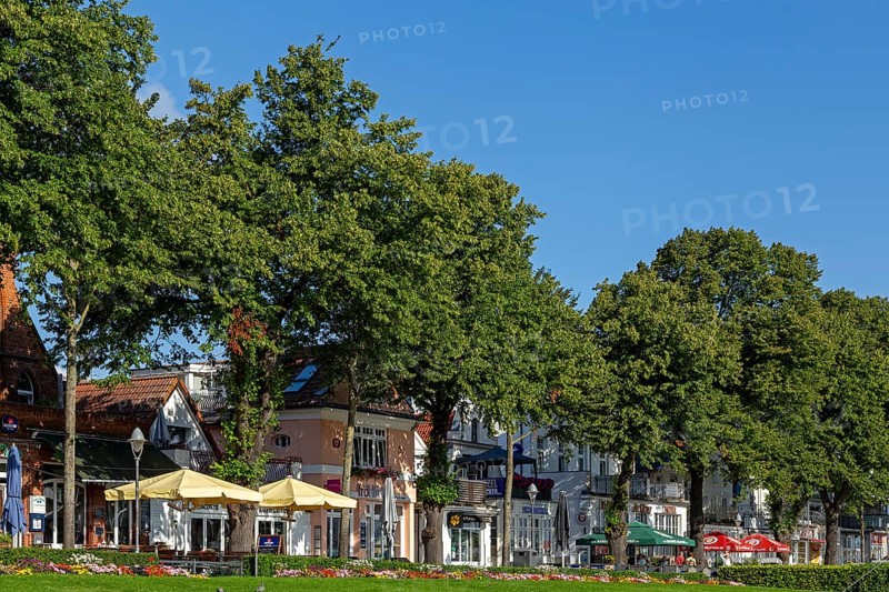 Houses on the Alter Strom, flowers, trees, Warnemünde, Rostock, Mecklenburg-Vorpommern, Germany