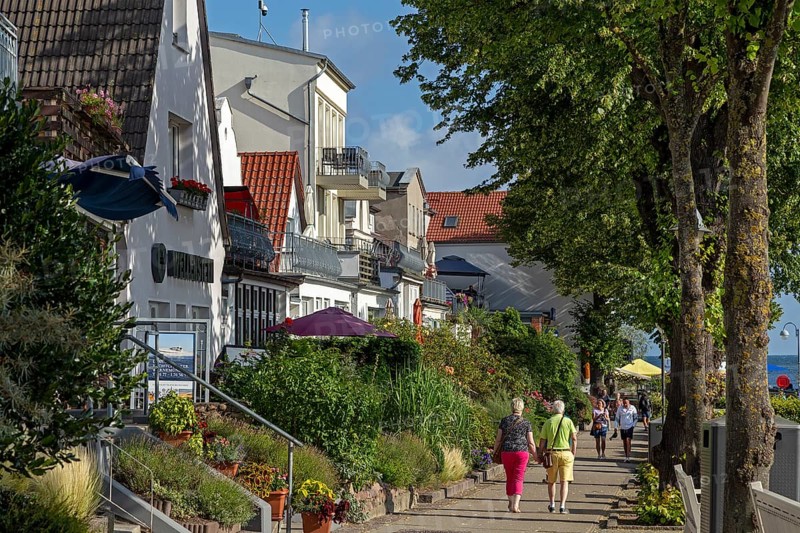 Houses on the Alter Strom, trees, Warnemünde, Rostock, Mecklenburg-Western Pomerania, Germany