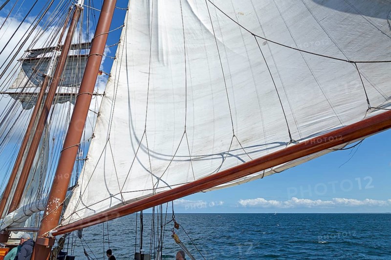 Sailing, sailing ship, Hanse-Sail, Baltic Sea near Warnemünde, Rostock, Mecklenburg-Western Pomerania, Germany