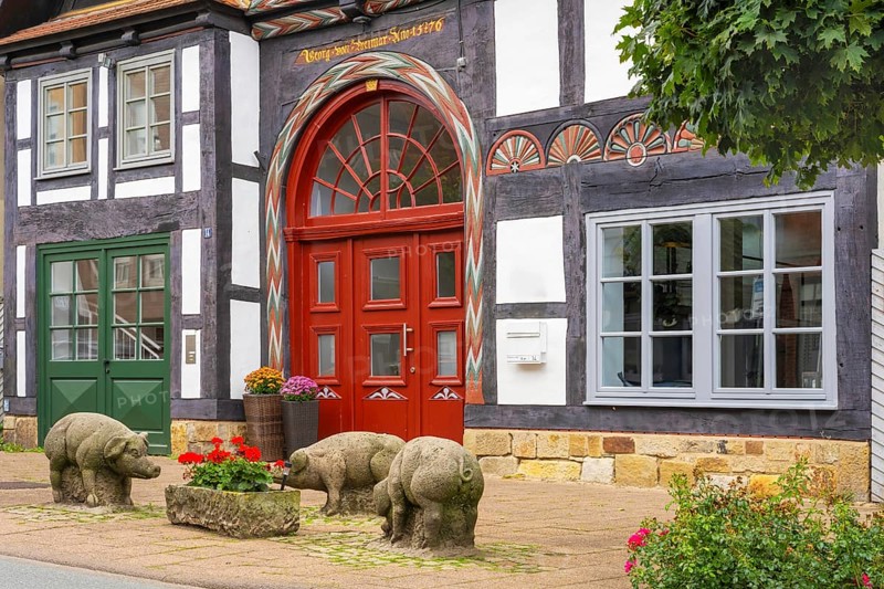 Reminder of former pig market in front of historic half-timbered house Brennerstrasse Rinteln Germany