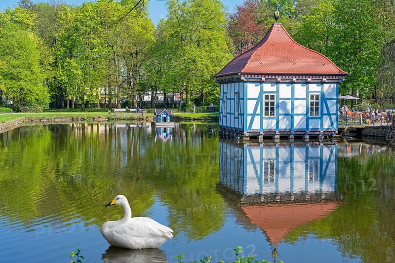 Swan in front of Lusthaus in Stadthagen City Park Germany