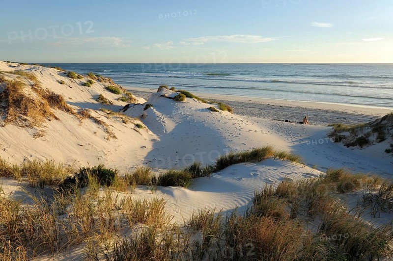 Beach and dunes near Lancelin, Perth, Western Australia, WA, Indian Ocean, Australia