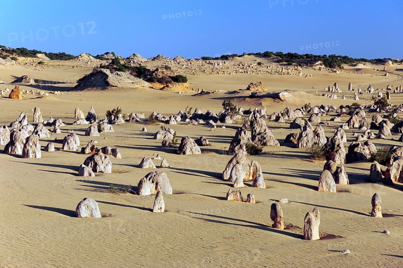 The Pinnacles, limestone pillars in the dunes, Nambung National Park near Cervantes, Perth, Western Australia, WA, Australia