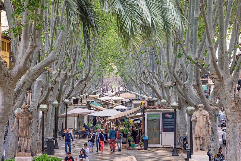 View at La Rambla in Palma a tree lined boulevard with fresh flower market and lot of visitors, Palma de Mallorca, Mallorca, Spain