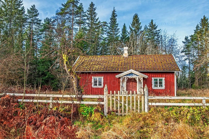 Red wooden cottage with a with fence and a gate an autumn day by the forest edge, Sweden