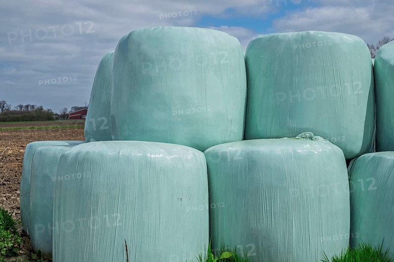 Silage, silage bales, silage bales in green plastic film, Münsterland, North Rhine-Westphalia, Germany
