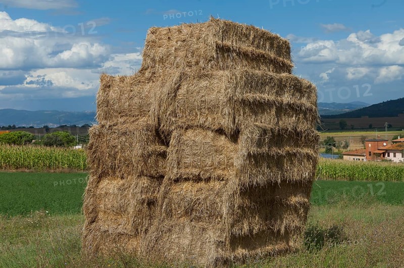 A pile of bundled straw in a meadow