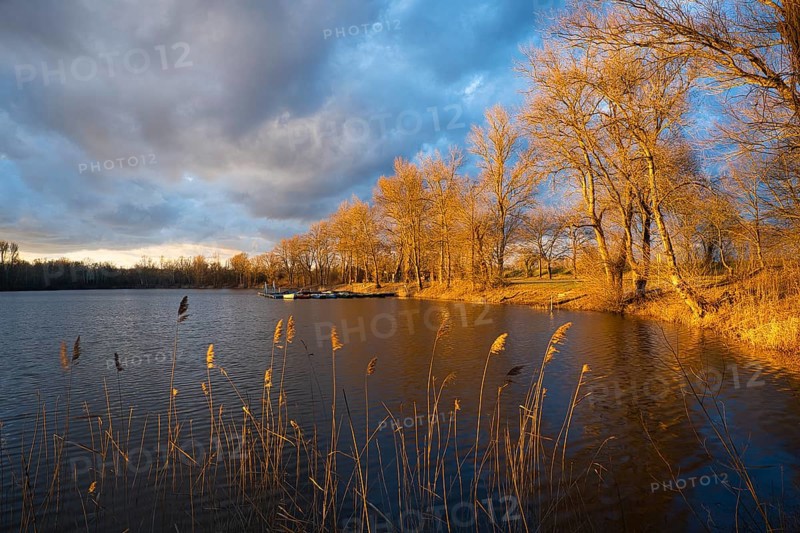 Lake in spring, dramatic sky, evening sun illuminates bare trees. Rhine-Neckar district, Baden-Württemberg, Germany