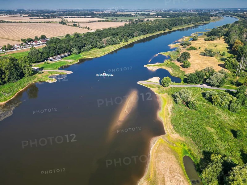 Aerial view, Elbe, yaw ferry, shipping, reed bed, ferry connection, ferry, foggy mood, sunrise, biotope, habitat, travel destination, Germany from above, sandbanks, dryness, low water, drought, climate change, Elbe cycle path, tourism, Elbe floodplains, floodplain landscape, river course, delta, Middle Elbe river landscape, flowing water, sunrise, Middle Elbe biosphere reserve, Saxony-Anhalt, Germany