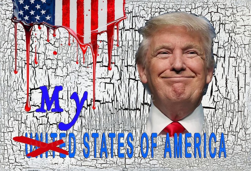 Symbolic image, Trump as owner of the USA, governing with executive order, pseudo-government, democracy versus autocracy, US democracy in danger, criticism of freedom of speech, LGBT, wokeness, EU and Germany as scapegoats, industry, Donald Trump, customs dictates, Elon Musk, Mark Zuckerberg, social networks, fake news, broken rights, hatred, hate speech, DSG Digital Services Act, re-election, USA, politics, announcements, vendetta, wanted dictator, Republicans, US electoral system, global danger, lies, 2nd term, global burden, Ukraine. term, global burden, Ukrainian war, White House storm
