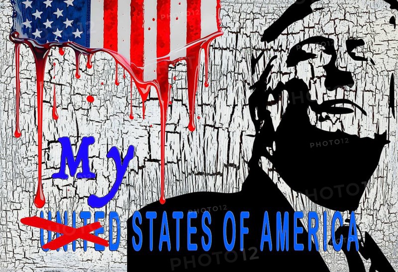Symbolic image, Trump as owner of the USA, governing with executive order, pseudo-government, democracy versus autocracy, US democracy in danger, criticism of freedom of speech, LGBT, wokeness, EU and Germany as scapegoats, industry, Donald Trump, customs dictates, Elon Musk, Mark Zuckerberg, social networks, fake news, broken rights, hatred, hate speech, DSG Digital Services Act, re-election, USA, politics, announcements, vendetta, wanted dictator, Republicans, US electoral system, global danger, lies, 2nd term, global burden, Ukraine. term, global burden, Ukrainian war, White House storm