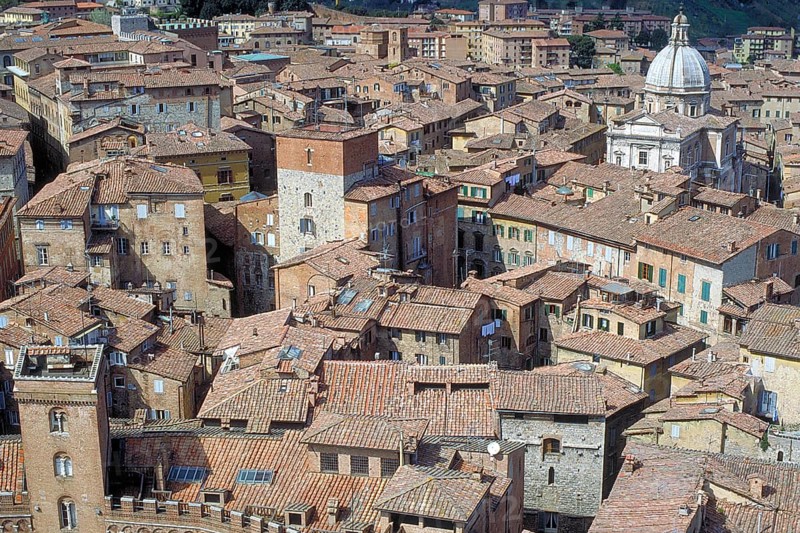 View of the Cathedral Metropolitana de Santa Marie Assunta, in front roofs of the historic centre, Siena, Tuscany, Italy
