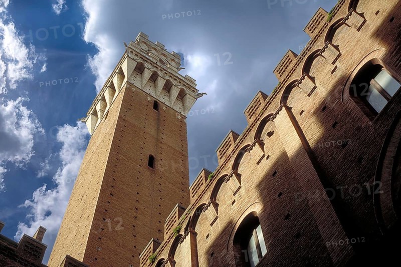 The tower on the Piazza del Campo, Siena, Tuscany, Italy