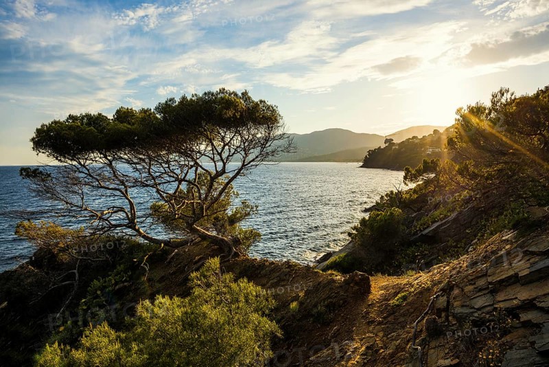 Picturesque hiking trail on the coast, sunset, La Croix-Valmer, Saint Tropez, Var, French Riviera, Provence-Alpes-Cote d'Azur, Cote d Azur, France