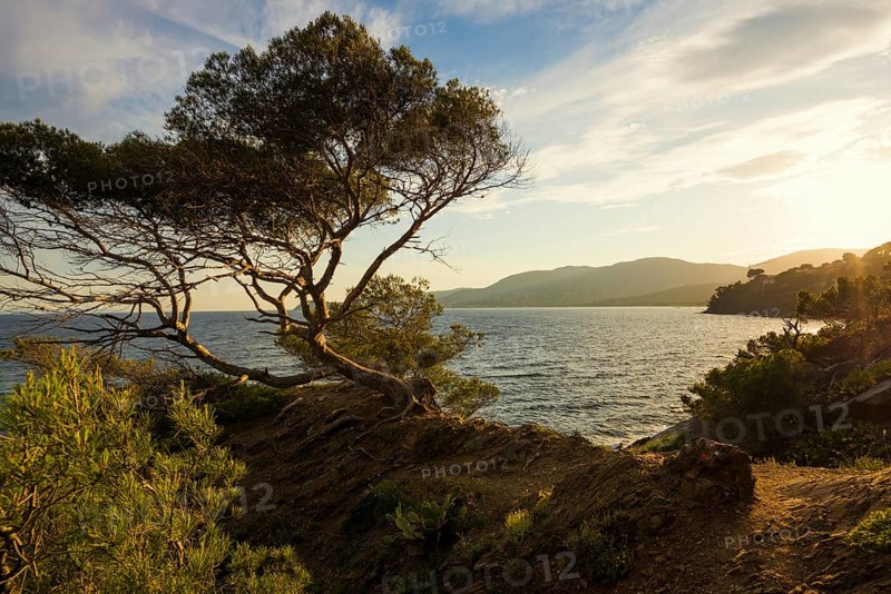 Picturesque hiking trail on the coast, sunset, La Croix-Valmer, Saint Tropez, Var, French Riviera, Provence-Alpes-Cote d'Azur, Cote d Azur, France