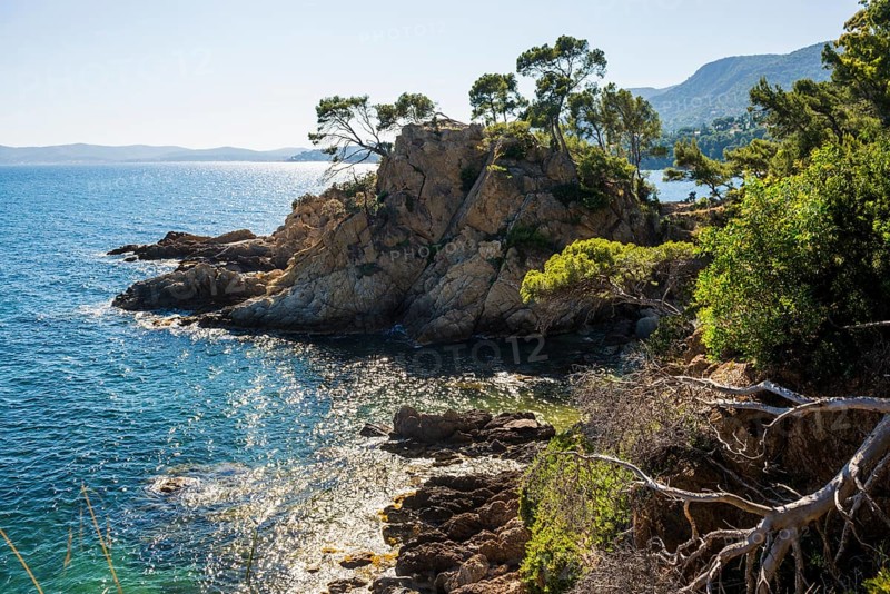 Hiking trail on the coast, Le Lavandou, Var, French Riviera, Provence-Alpes-Cote d'Azur, Cote d Azur, France