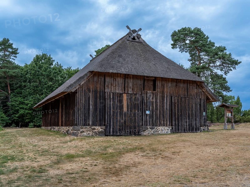 Former sheepfold, outdoor sheepfold, Heiliger Hain nature reserve, Wahrenholz, Lüneburg Heath, Lower Saxony, Germany