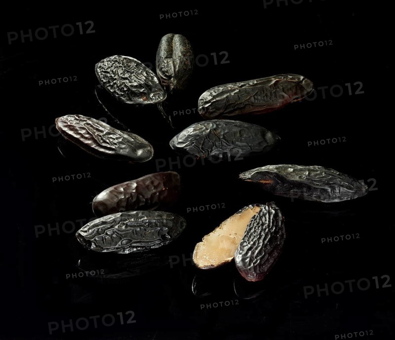 Tonka beans against a black background