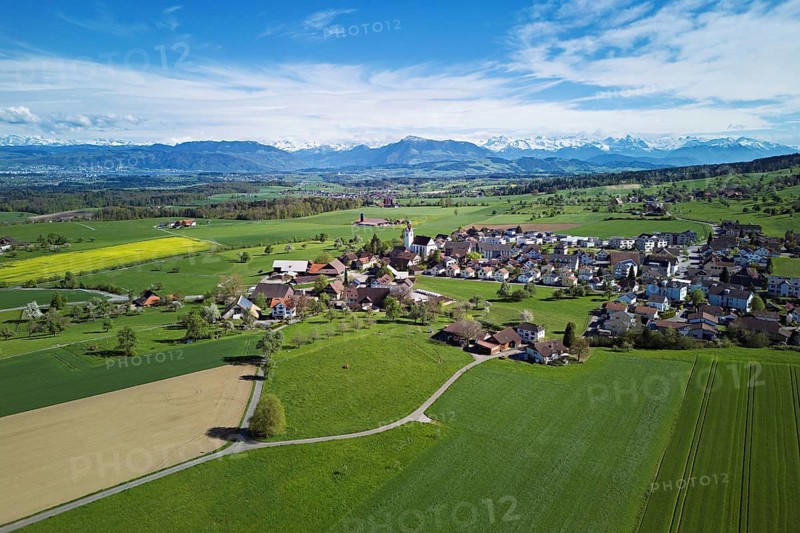 Village view with field of flowering rape, behind the Rigi and the snow-covered Alps, Beinwil, Freiamt, Canton, Aargau, Switzerland