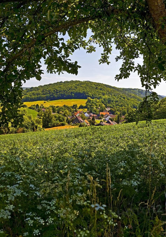 Landscape in the Weserbergland, Bodenwerder, Münchhausenstadt, Lower Saxony, Germany