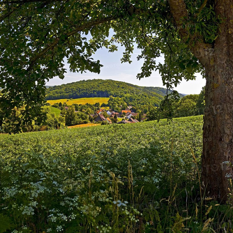Landscape in the Weserbergland, Bodenwerder, Münchhausenstadt, Lower Saxony, Germany
