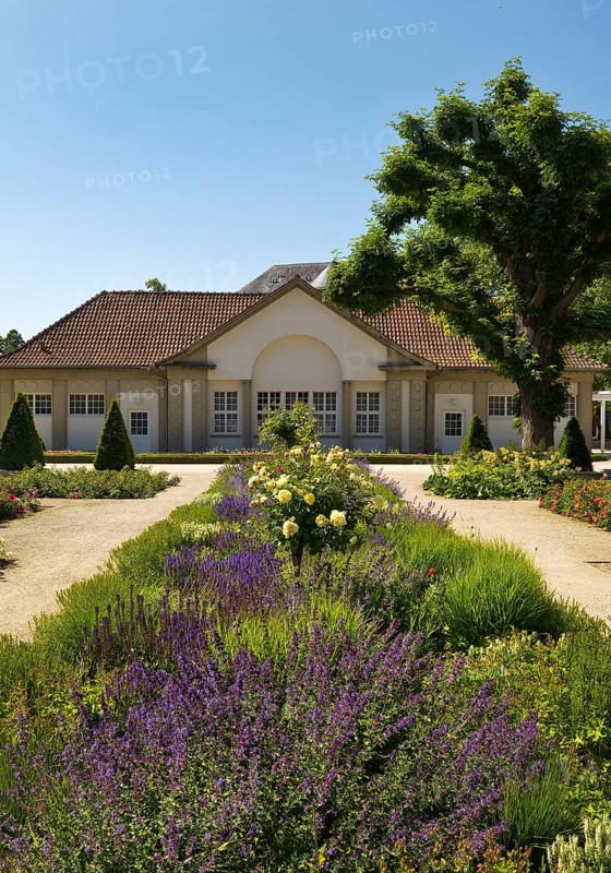 Rose garden in the spa gardens with the back of the concert shell, Bad Nauheim, Hesse, Germany