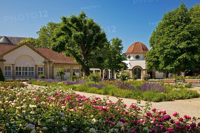 Rose garden in the spa gardens with the back of the concert shell and the Trinkkuranlage, Bad Nauheim, Hesse, Germany