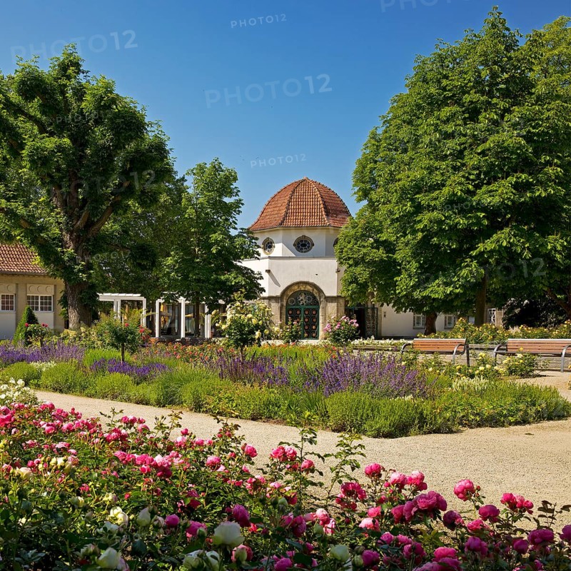Rose garden in the spa gardens with the back of the concert shell and the Trinkkuranlage, Bad Nauheim, Hesse, Germany