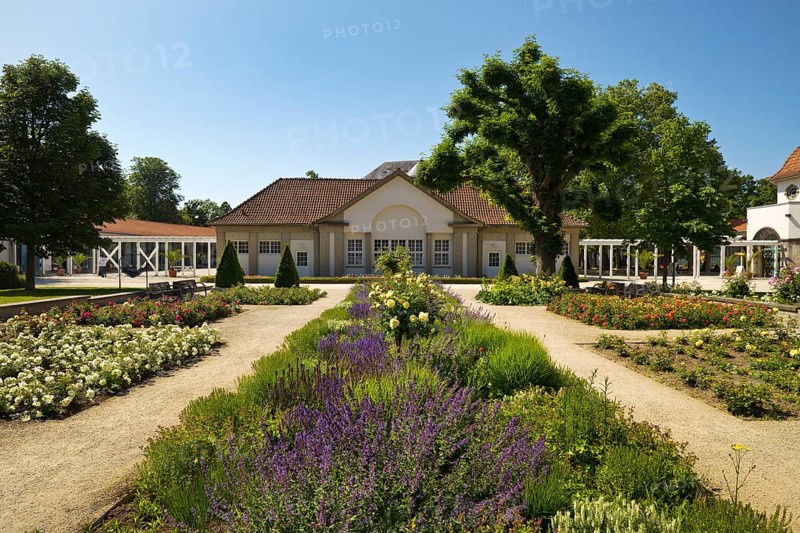 Rose garden in the spa gardens with the back of the concert shell, Bad Nauheim, Hesse, Germany