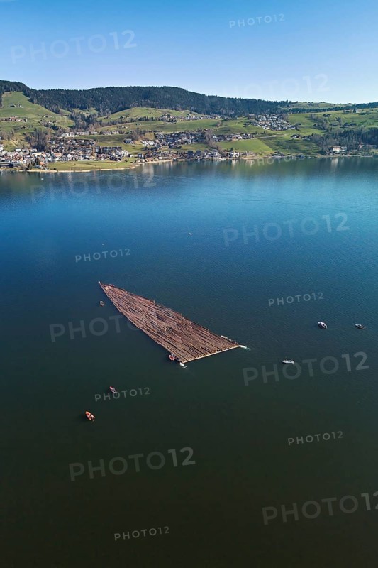 Forestry workers float a raft of felled tree trunks from the Bergmatt across the Ägerisee to the harbour, rafting 2025, Unterägeri, Canton, Zug, Switzerland