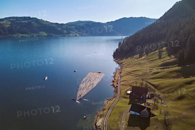 Forestry workers float a raft of felled tree trunks from the Bergmatt across the Ägerisee to the harbour, rafting 2025, Unterägeri, Canton, Zug, Switzerland