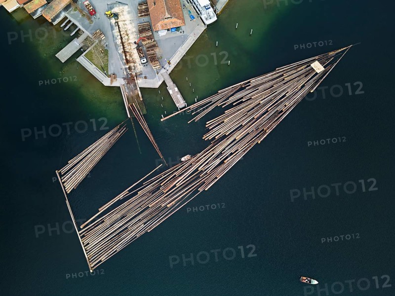 Raft of felled tree trunks at the landing stage where the trunks are pulled ashore and cut to size for loading onto the lorry, Rafting 2025, Unterägeri, Canton, Zug, Switzerland