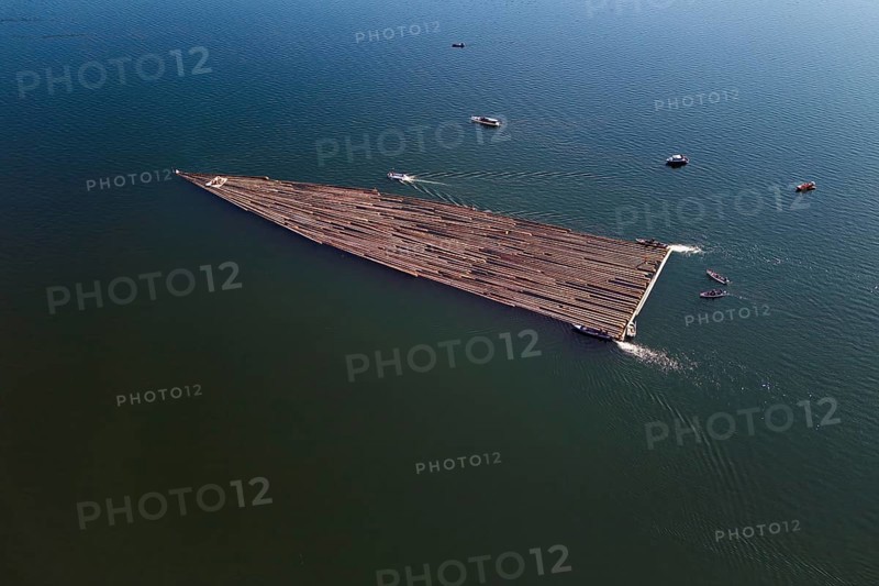 Forestry workers float a raft of felled tree trunks from the Bergmatt across the Ägerisee to the harbour, rafting 2025, Unterägeri, Canton, Zug, Switzerland