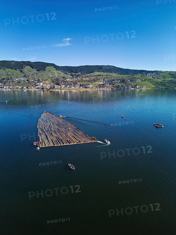 Forestry workers float a raft of felled tree trunks from the Bergmatt across the Ägerisee to the harbour, rafting 2025, Unterägeri, Canton, Zug, Switzerland