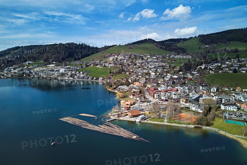 Raft of felled tree trunks at the landing stage where the trunks are pulled ashore and cut to size for loading onto the lorry, Rafting 2025, Unterägeri, Canton, Zug, Switzerland