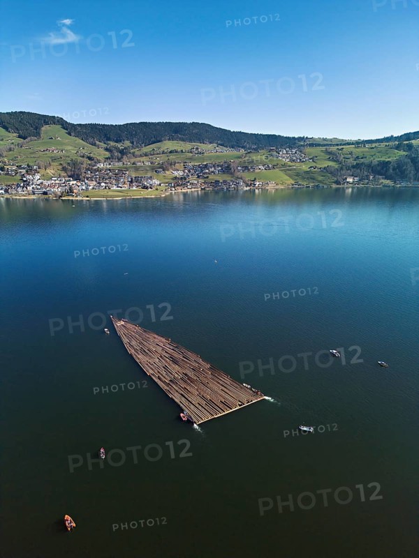 Forestry workers float a raft of felled tree trunks from the Bergmatt across the Ägerisee to the harbour, rafting 2025, Unterägeri, Canton, Zug, Switzerland