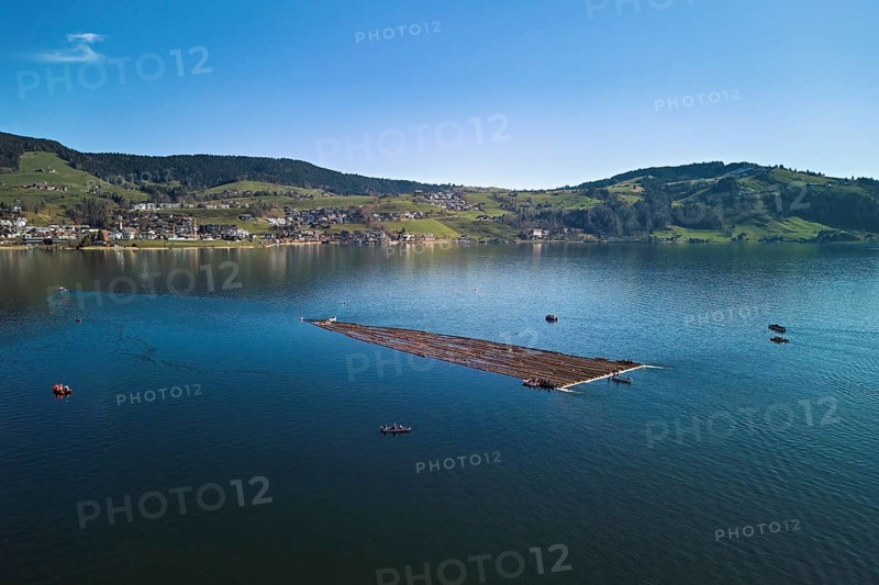 Forestry workers float a raft of felled tree trunks from the Bergmatt across the Ägerisee to the harbour, rafting 2025, Unterägeri, Canton, Zug, Switzerland