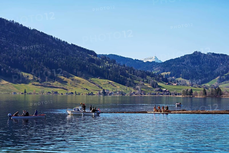 Forestry workers float a raft of felled tree trunks from the Bergmatt across the Ägerisee to the harbour, rafting 2025, Unterägeri, Canton, Zug, Switzerland
