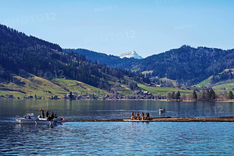 Forestry workers float a raft of felled tree trunks from the Bergmatt across the Ägerisee to the harbour, rafting 2025, Unterägeri, Canton, Zug, Switzerland