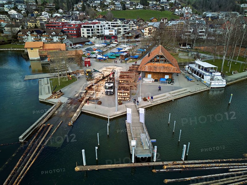 Raft of felled tree trunks at the landing stage where the trunks are pulled ashore and cut to size for loading onto the lorry, Rafting 2025, Unterägeri, Canton, Zug, Switzerland