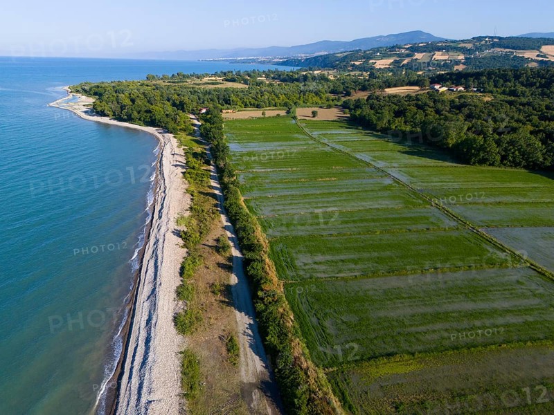 View of the coastline and neighbouring green fields bordering the blue sea with rolling hills in the background, aerial view, rice paddies near Sancakli, Sancakli, Terme, Samsun Province, Turkey
