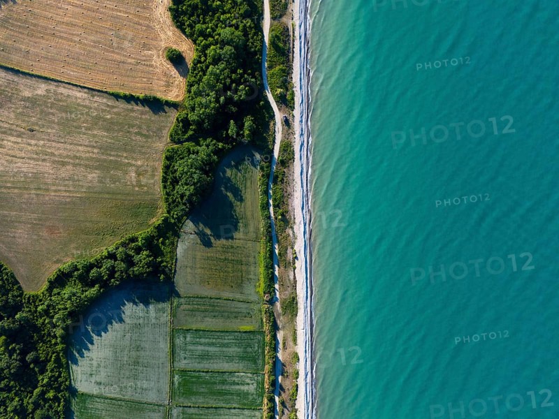 Aerial view of a coastline with neighbouring agricultural fields and the vast blue sea, aerial view, rice paddies near Sancakli, Sancakli, Terme, Samsun Province, Turkey