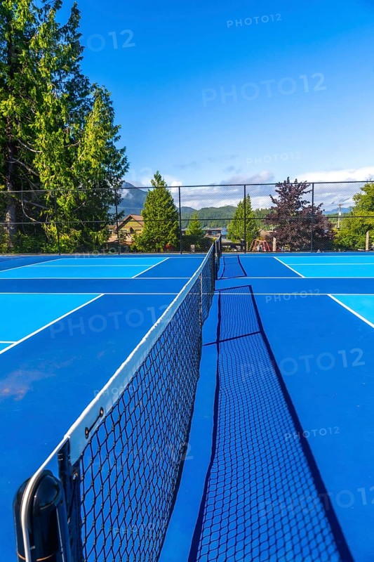 Empty pickleball court featuring a net casting shadows on the vibrant blue surface, basking in sunlight, surrounded by lush trees and residential houses, creating a serene atmosphere